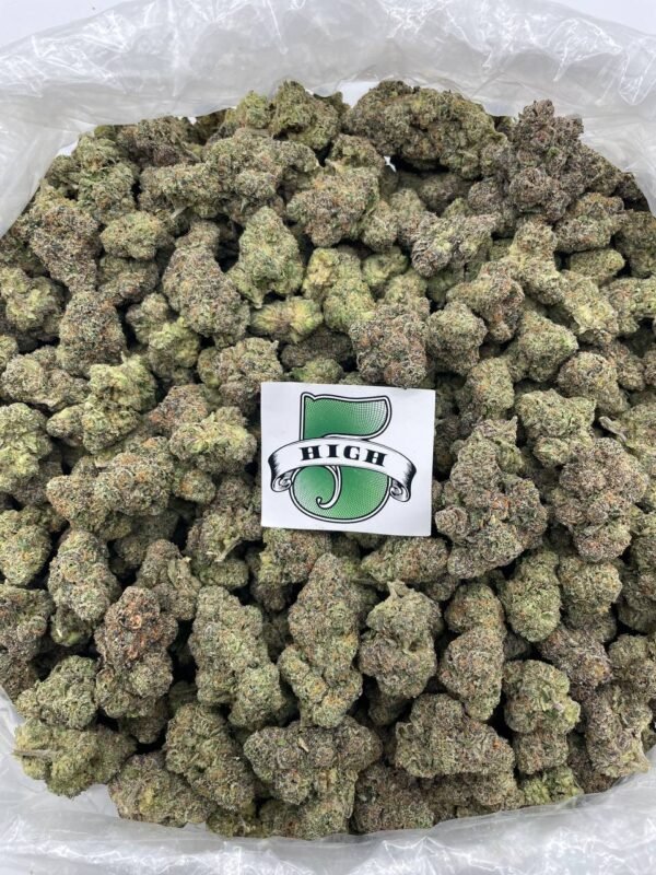 Gelato 33