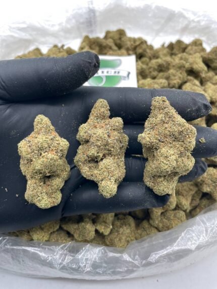 Venom OG
