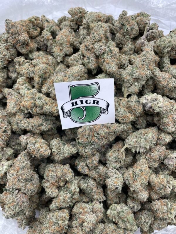 Candy Jack
