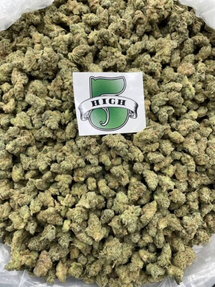 GG4