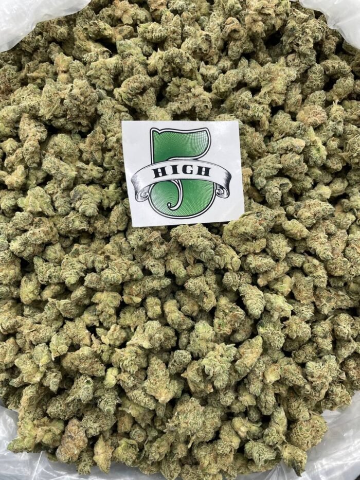 GG4