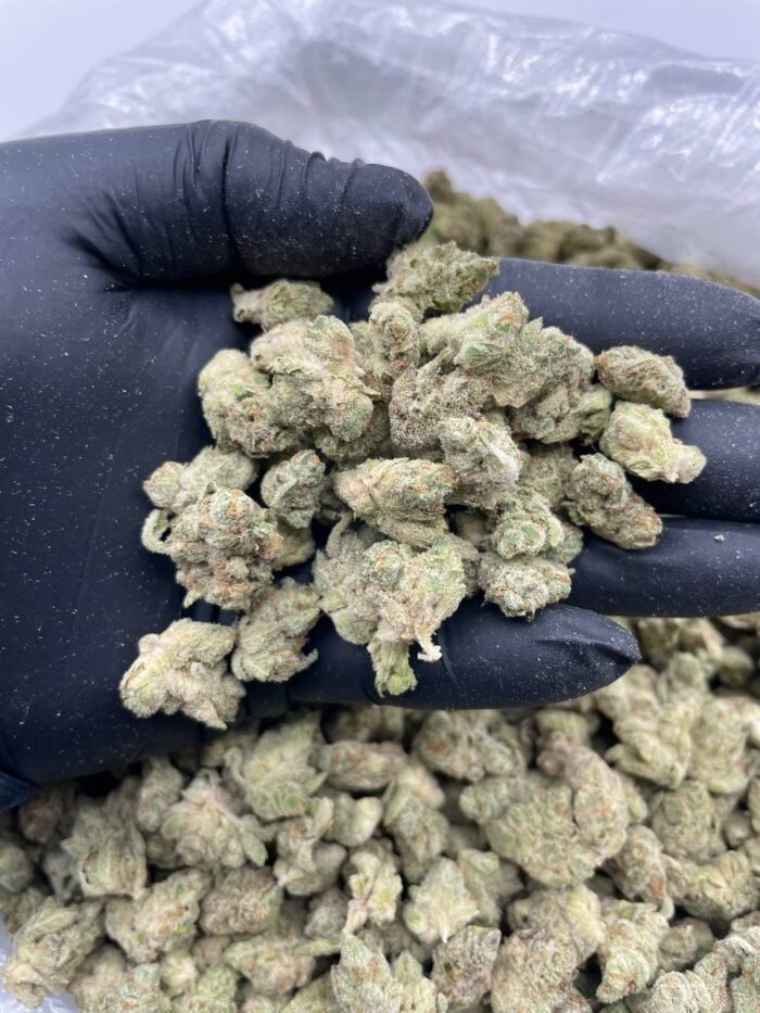 Zours