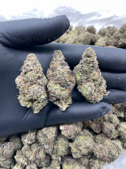 Sherb Cream Pie
